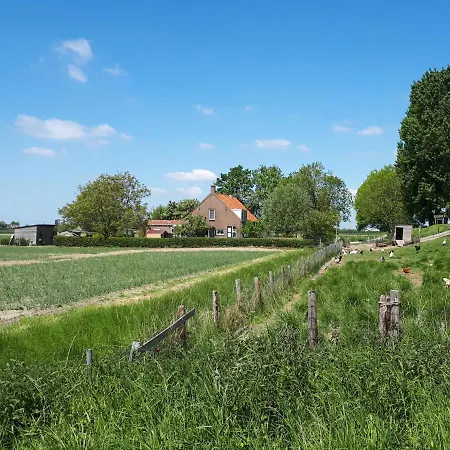 “In Oans Oefje” Parel in de polder! Appartement Lewedorp Buitenkant foto