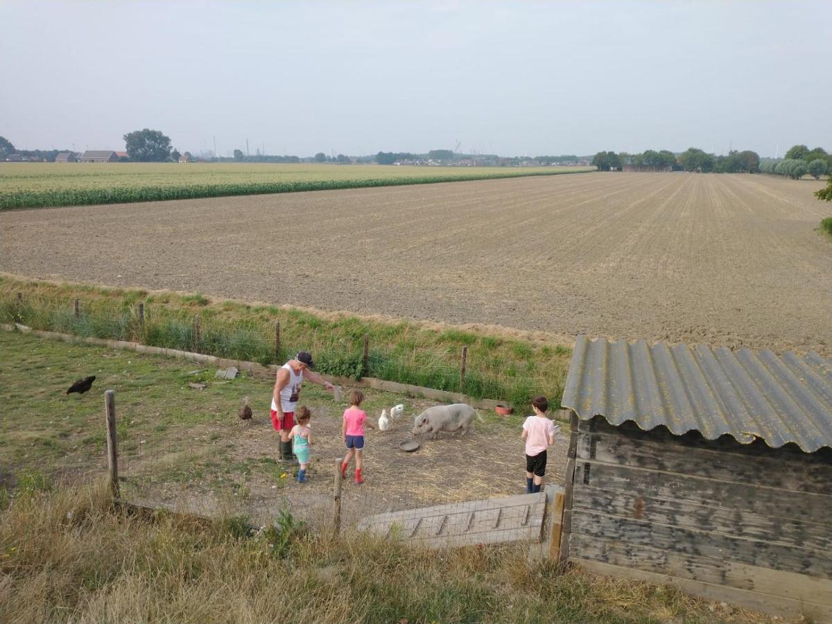 “in Oans Oefje” Parel In De Polder! Apartment Lewedorp