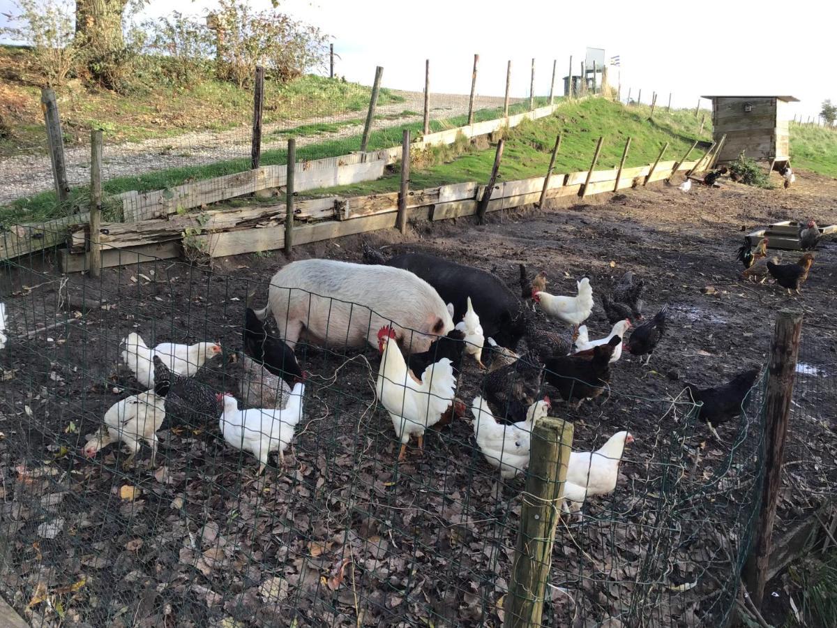 “in Oans Oefje” Parel In De Polder!